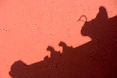 传迪士尼满意《夺宝奇兵》表现 已给续作开绿灯